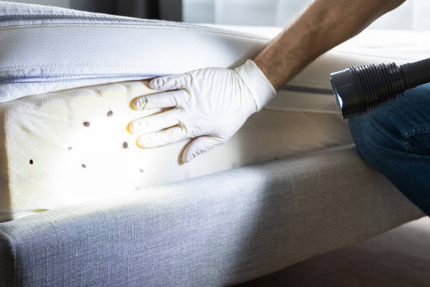 Best Pest Prevention Services  in Wickerham Manor Fisher, PA