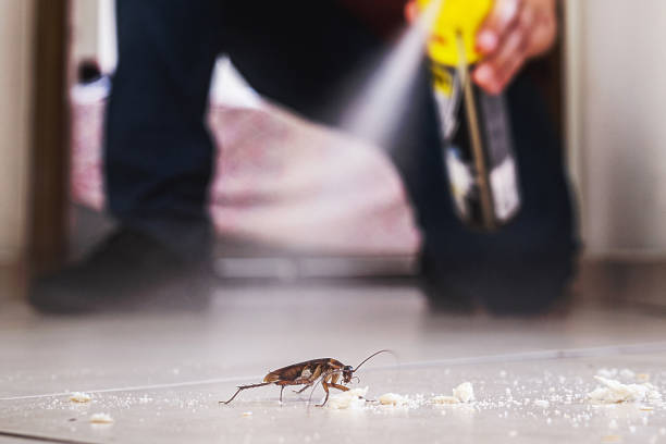 Spider Control Near Me in Wickerham Manor Fisher, PA