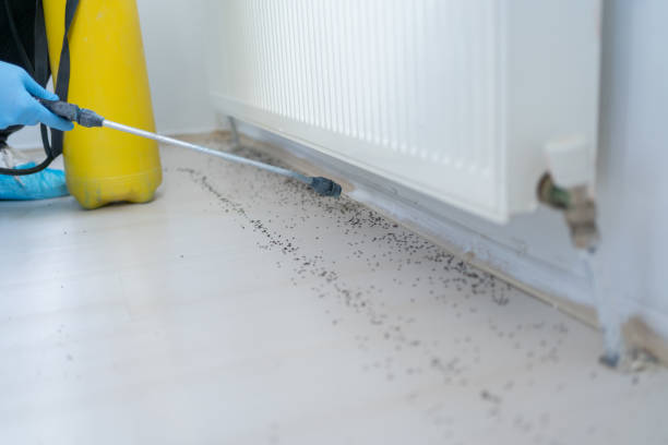 Best Rat Extermination Near Me  in Wickerham Manor Fisher, PA