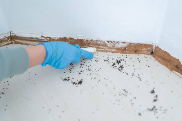 Best Emergency Pest Control  in Wickerham Manor Fisher, PA