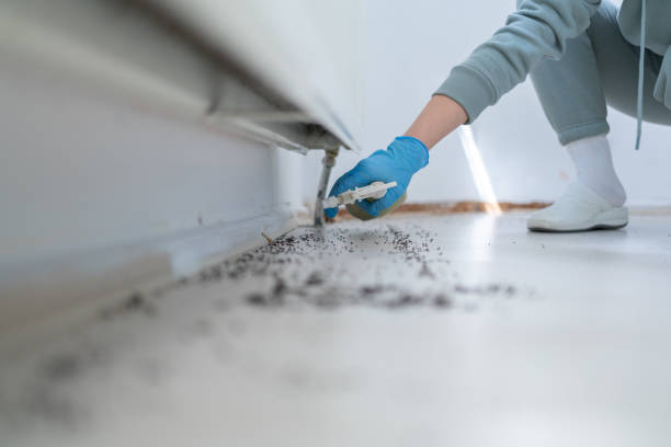 Trusted Wickerham Manor Fisher, PA Pest Control Experts